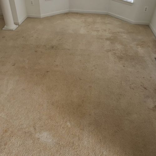 Today I had my carpets cleaned and what i was thin