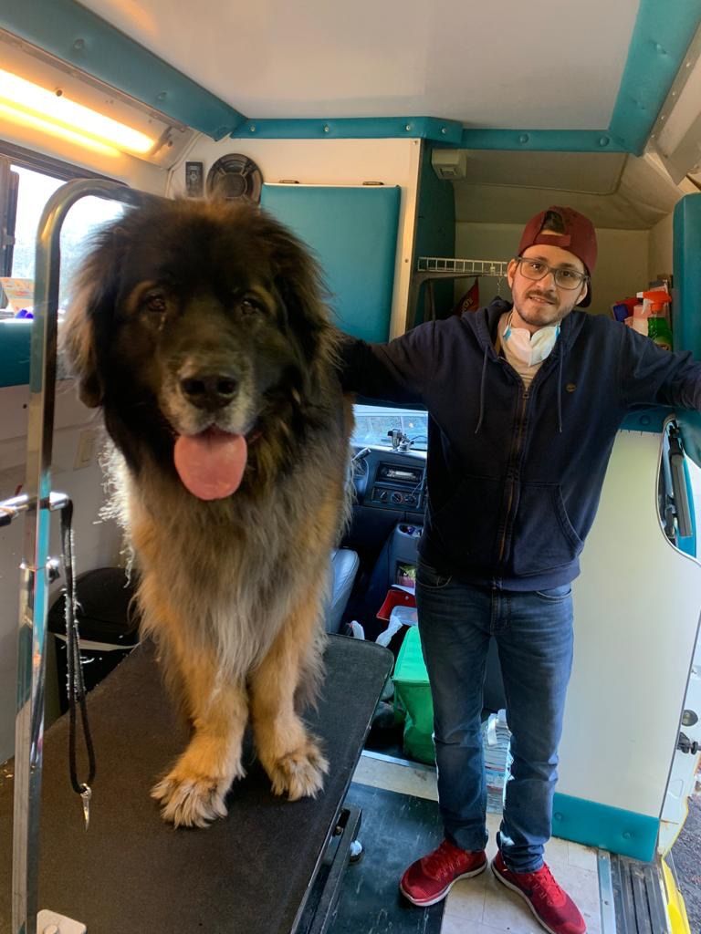 My Local Groomer