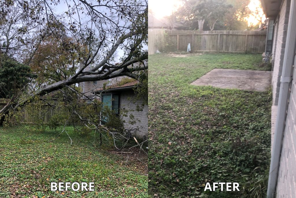 Storm Damage. Tree safely removed from home