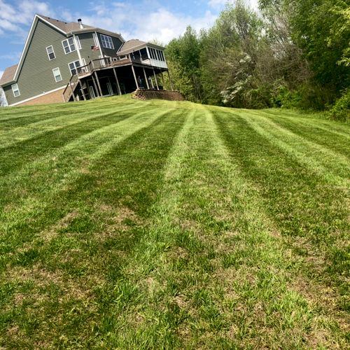 Bluegrass Lawn Care Bowling Green, KY Thumbtack