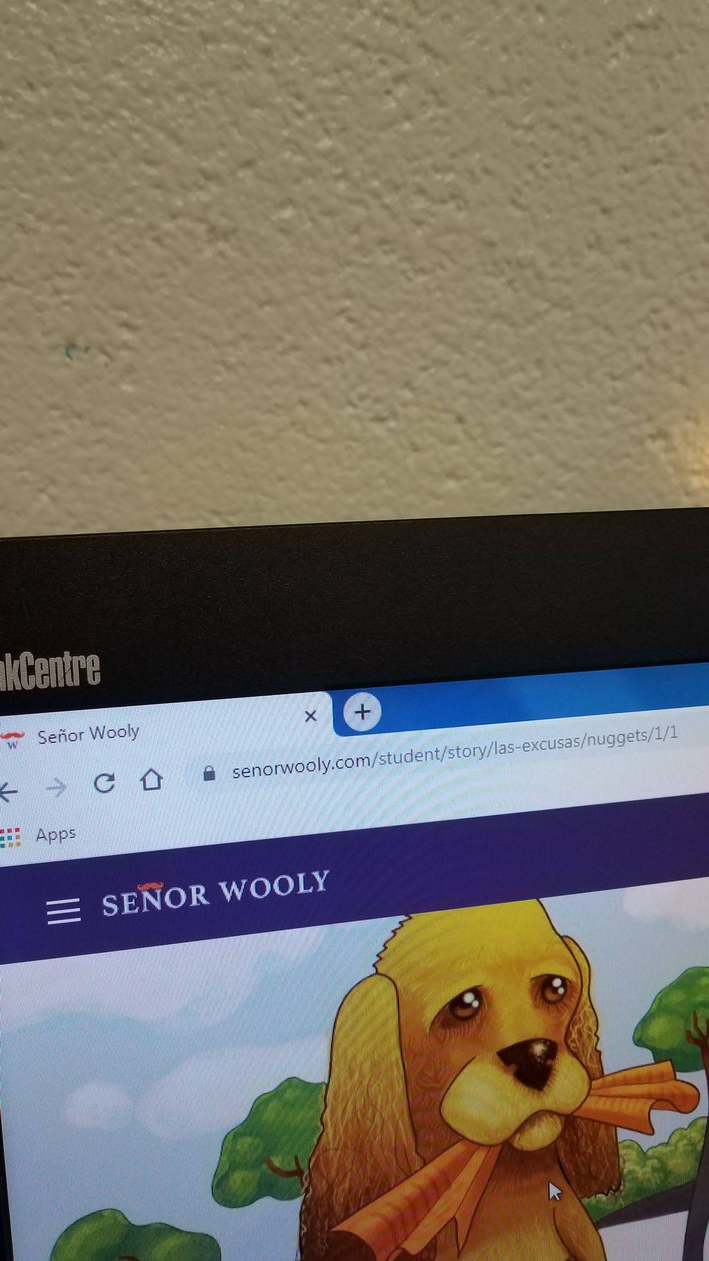 Projects and media