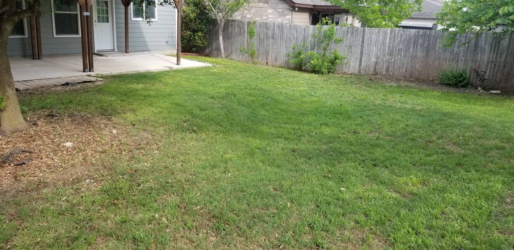 after photo of lawn mowing 