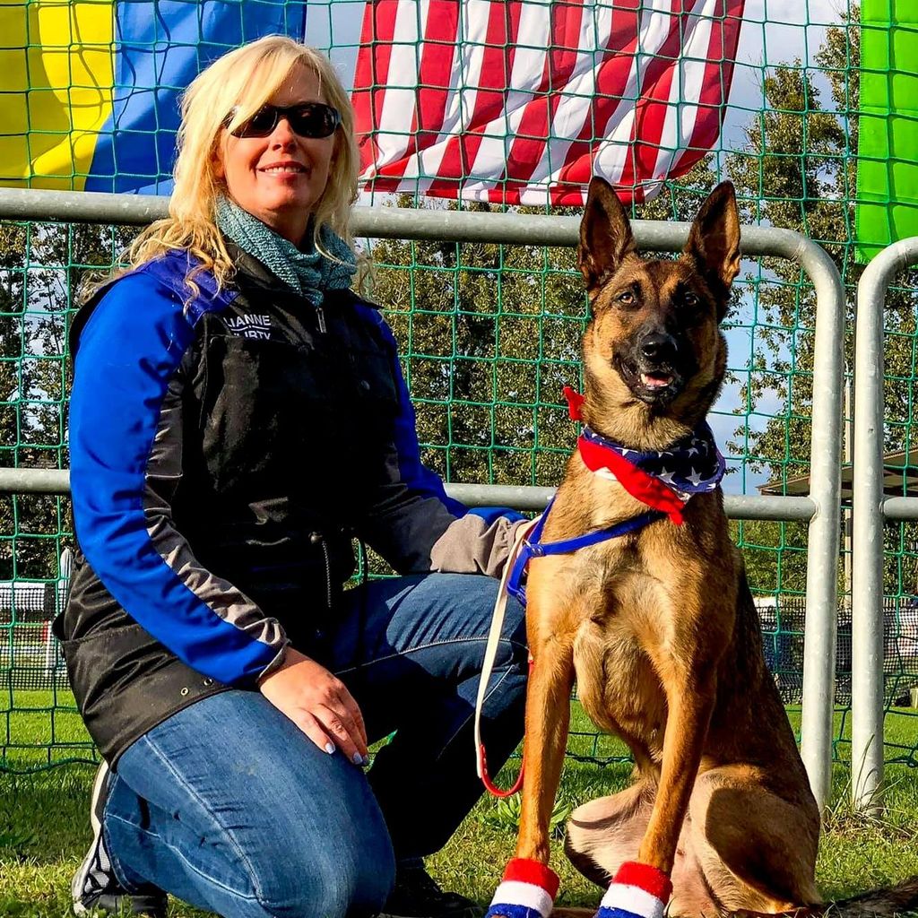 IQ K9 Training