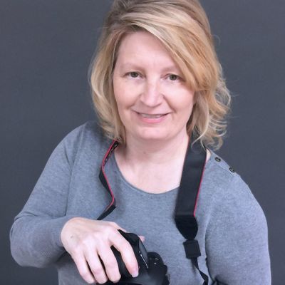 Avatar for A Shutter Above Photography LLC