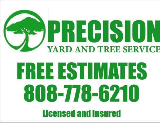 Precision Yard & Tree Services