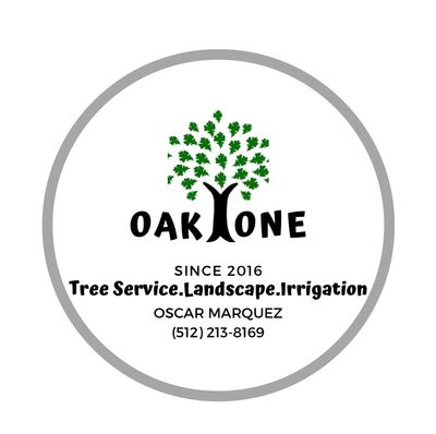 Avatar for Oak One