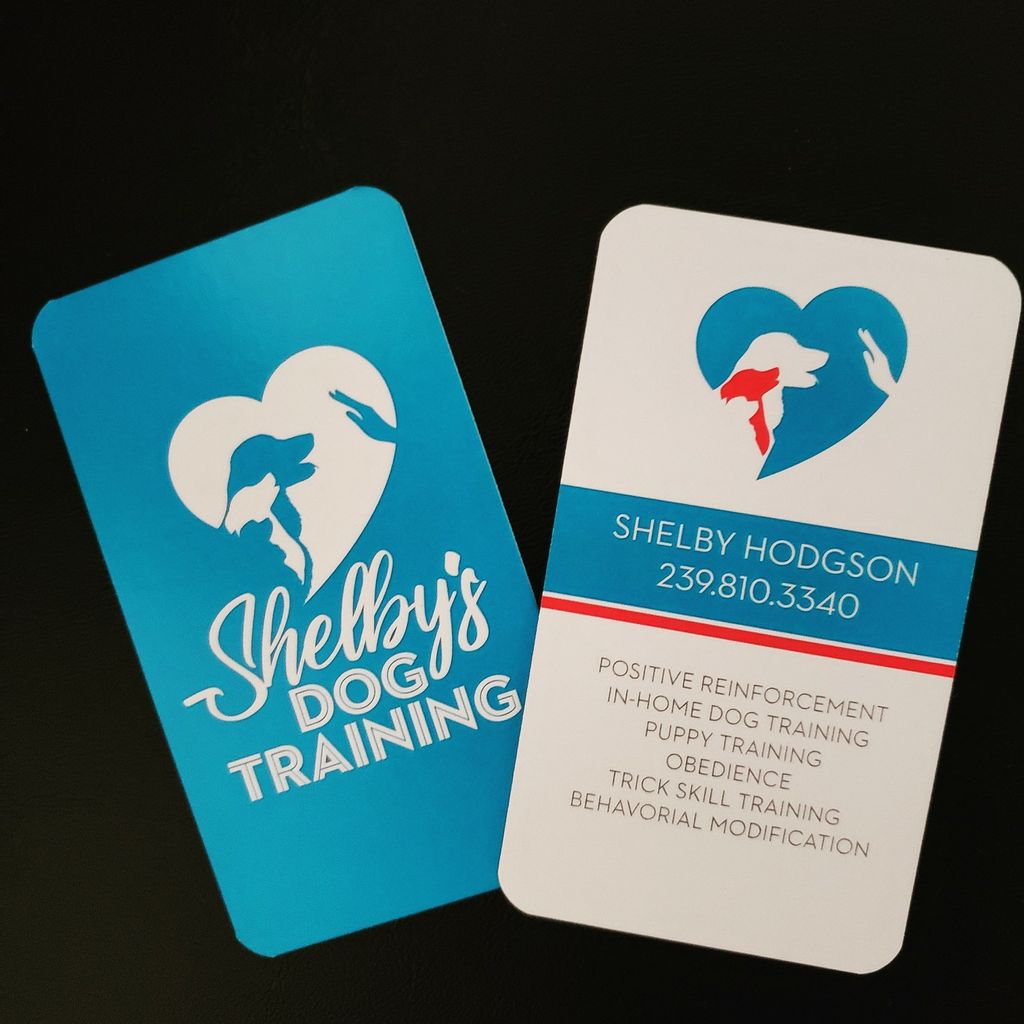 Shelby's Dog Training