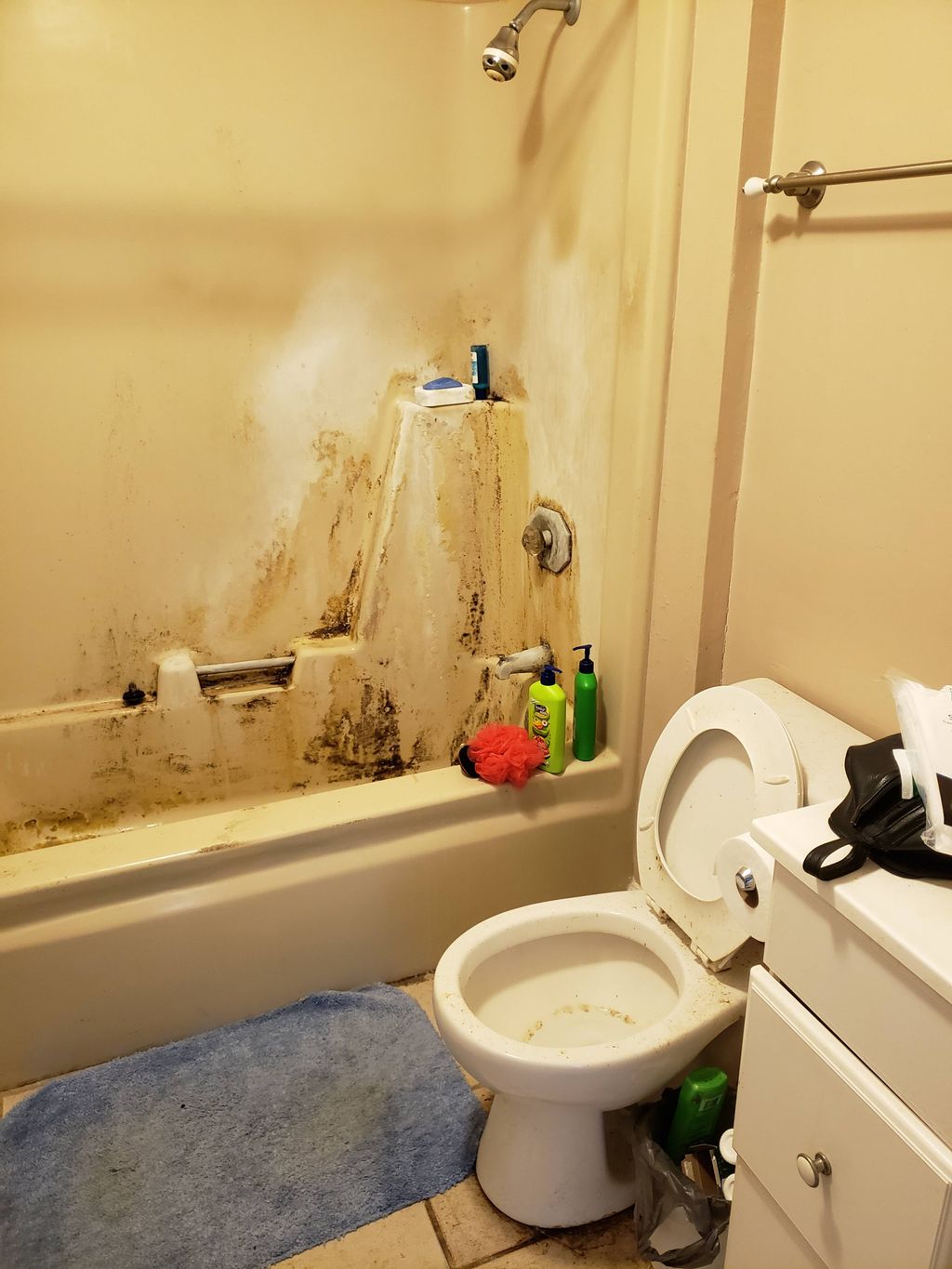 Bathroom before Jessi