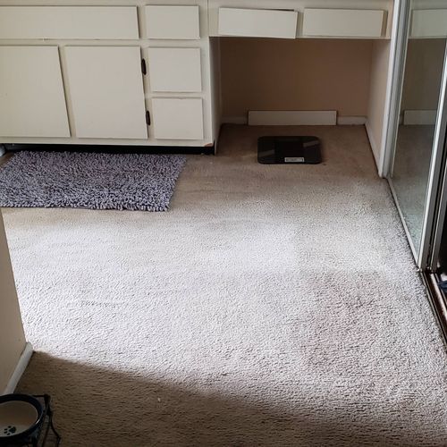 removes carpet and vanity. 