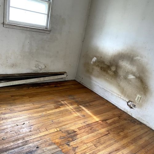 Mold and water damage  