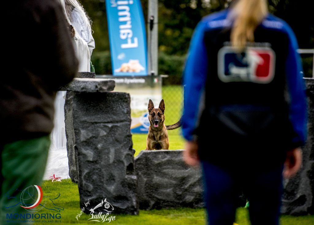 Flirty and Lianne at the World Championships in Po