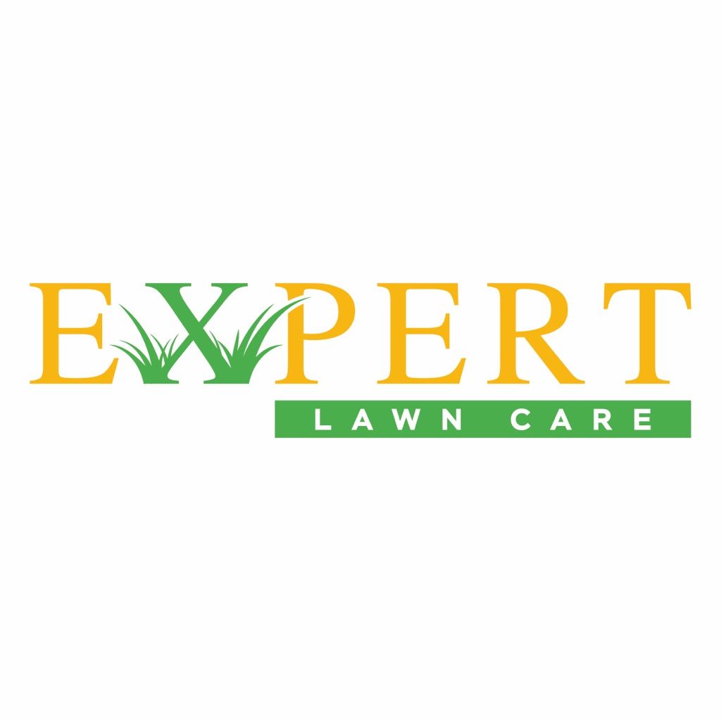 Expert lawn care