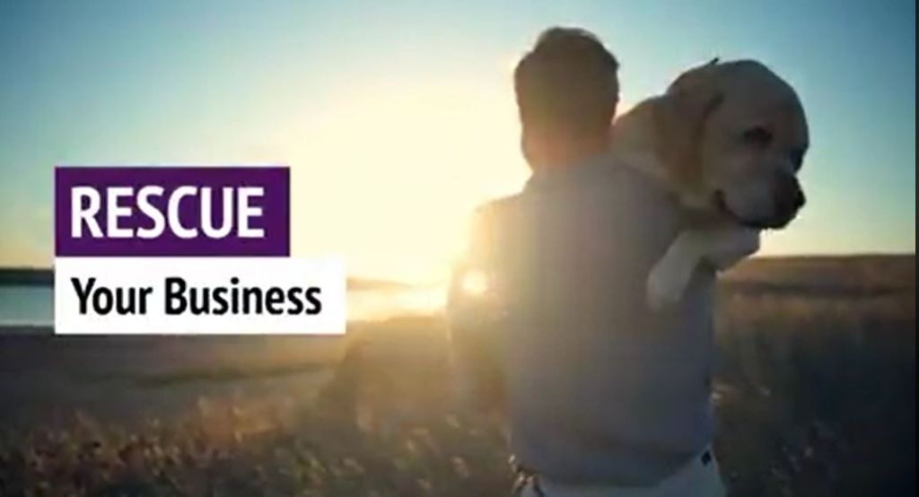 Rescuing Businesses & Our Furry Friends
