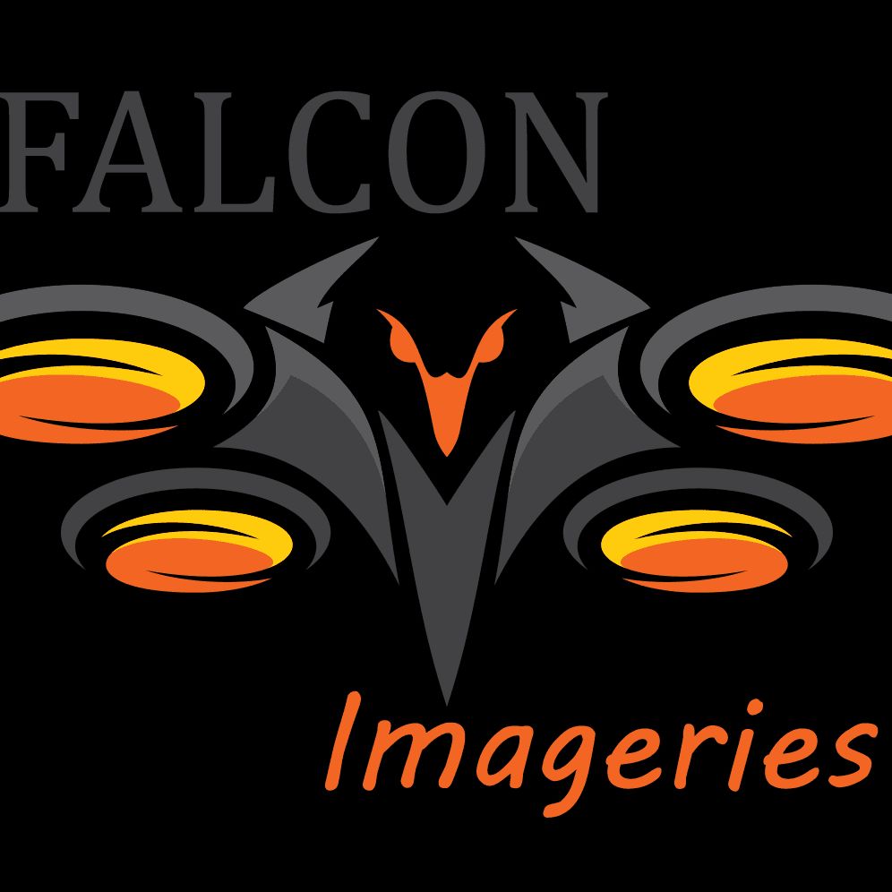 Falcon Imageries