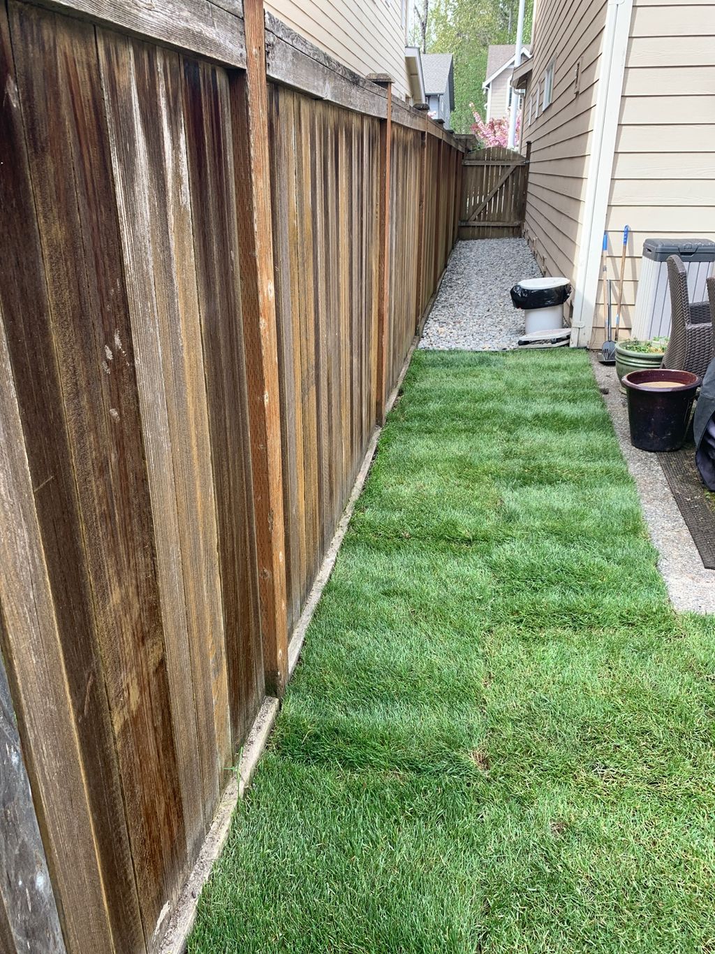 Customer photos