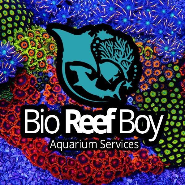 Bio Reef Boy Aquarium Services Corp