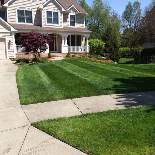 Full Service Lawn Care