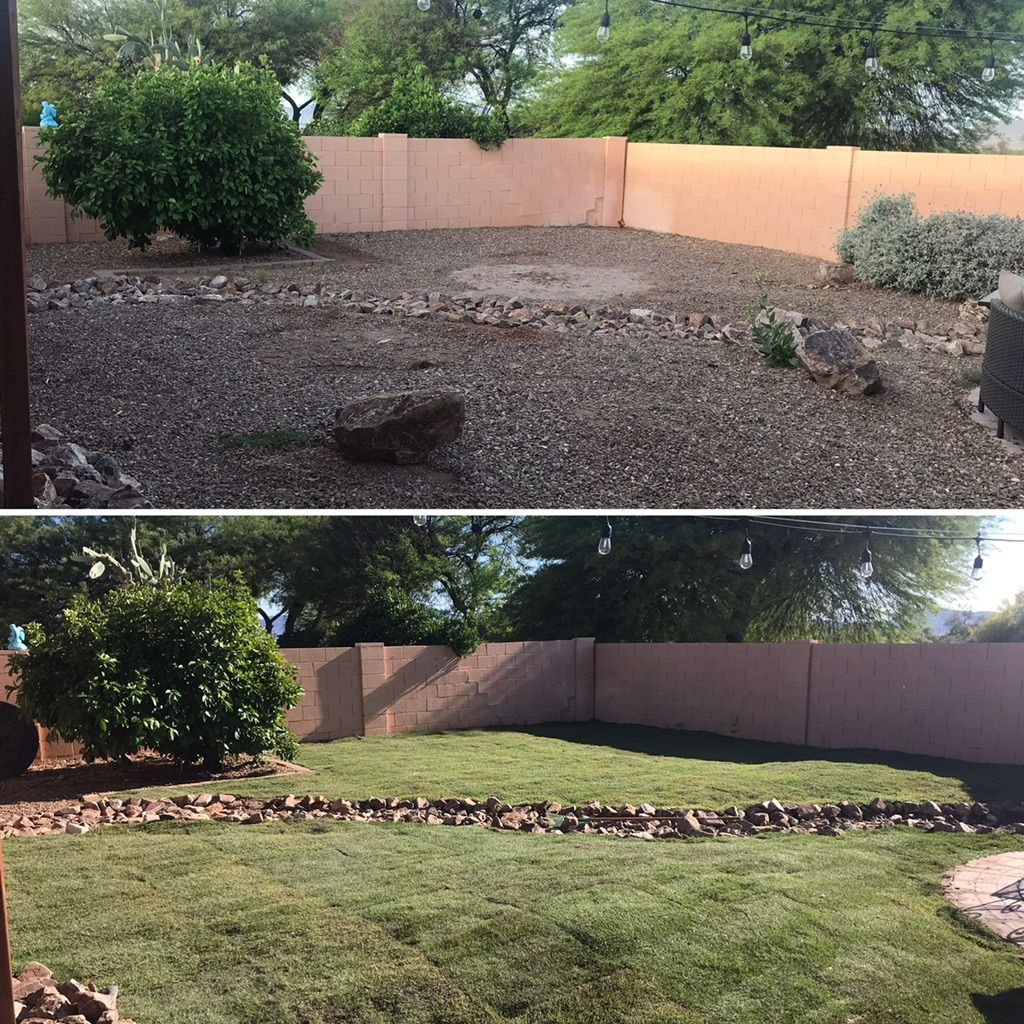 Customer photos