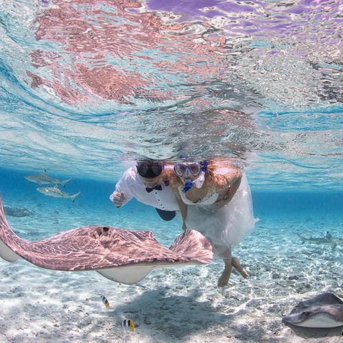 Aquatic wedding photoshoot - Bora Bora