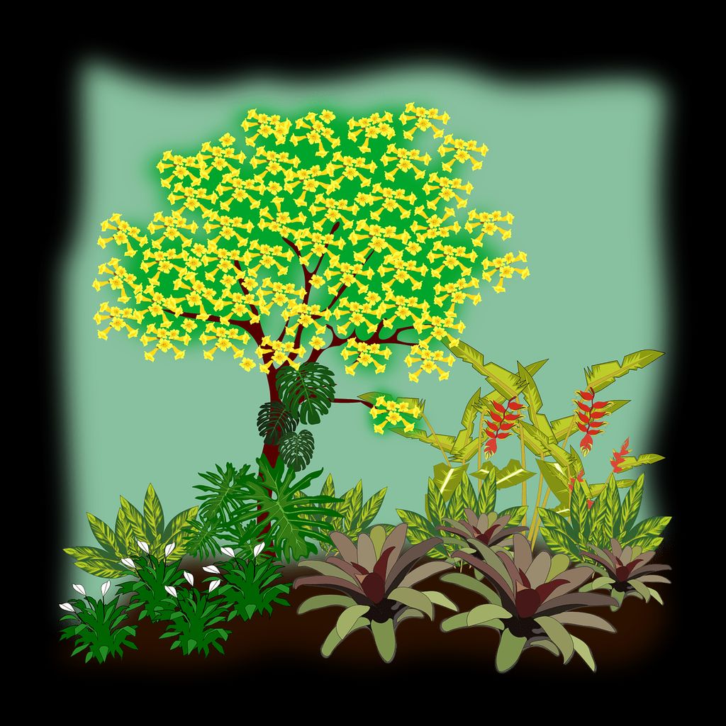 Mow Landscaping