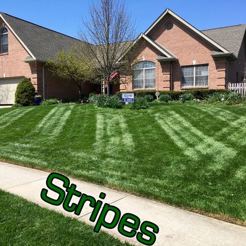 Real results with Stripe Masters Lawn Care. Look a