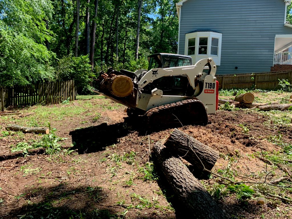 Tree Trimming and Removal