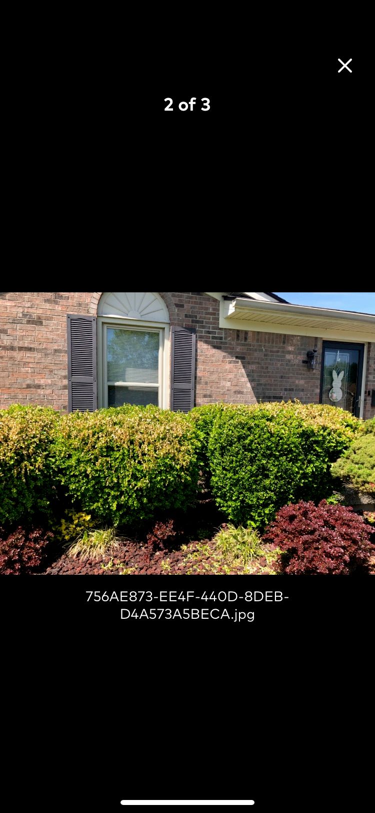 Customer photos