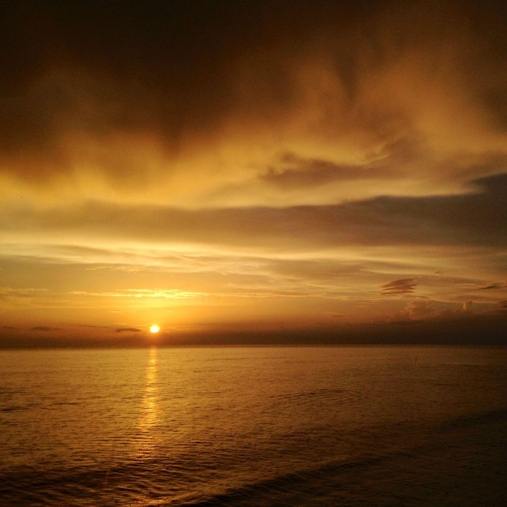 Freeedom Photography
