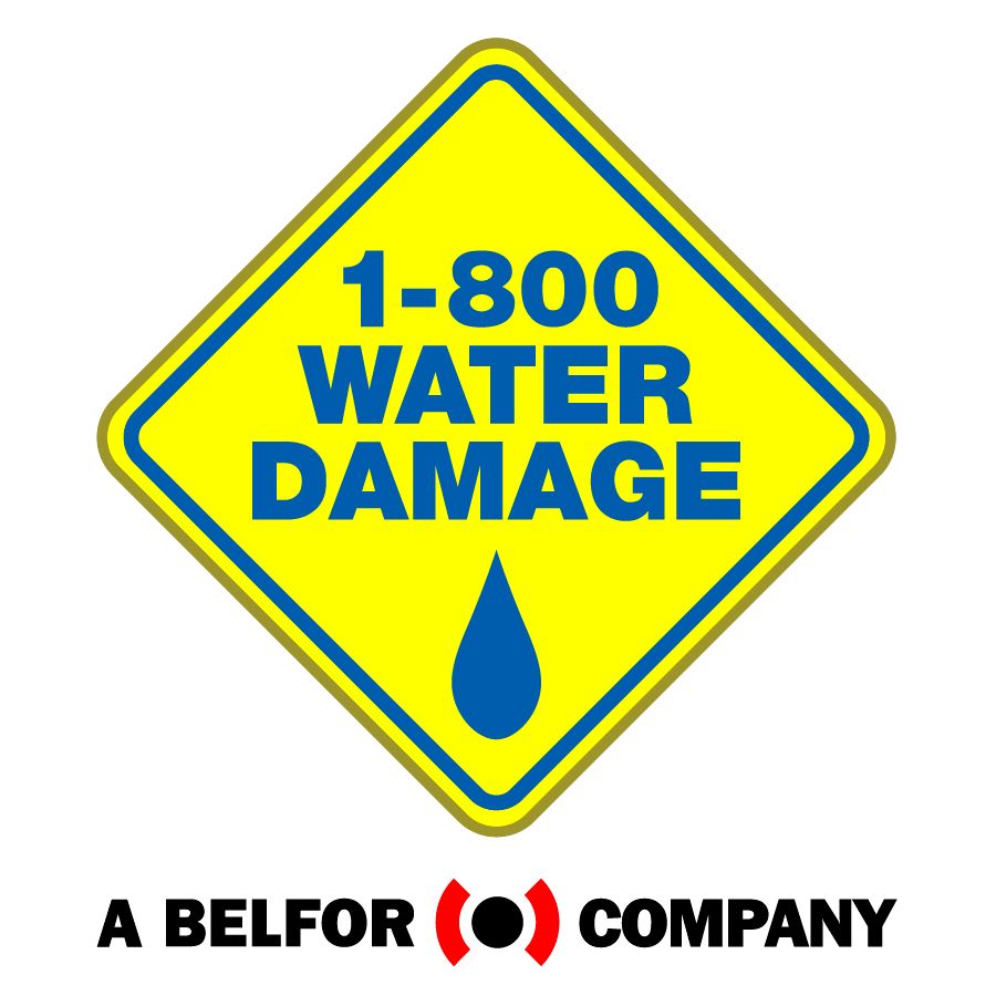 1-800 WATER DAMAGE of Lexington County