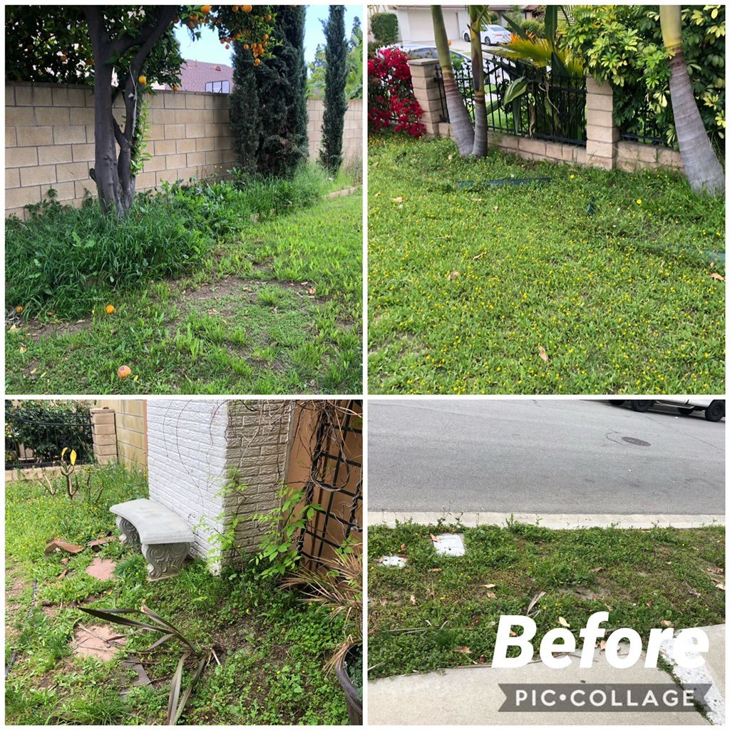 Customer photos