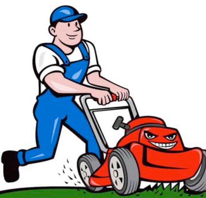 Roco mowing/trimming , junk removal services.