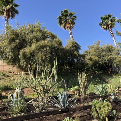 perfect cut tree service pomona