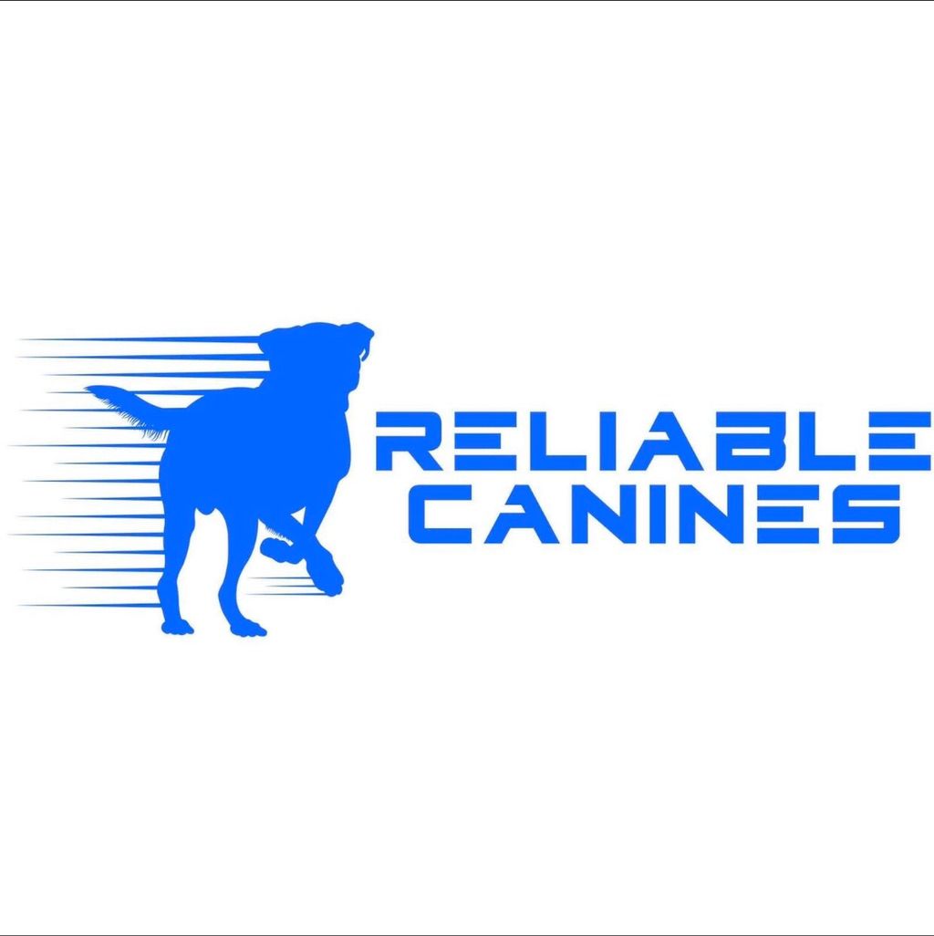 Reliable Canines