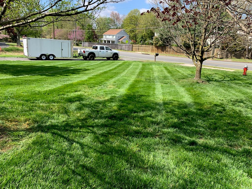 Lawn Mowing and Trimming