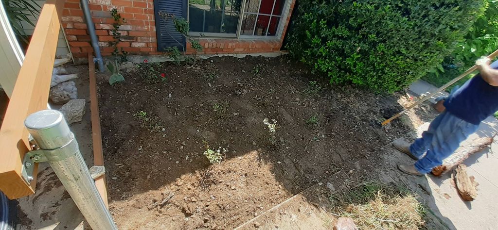 clean flower bed 