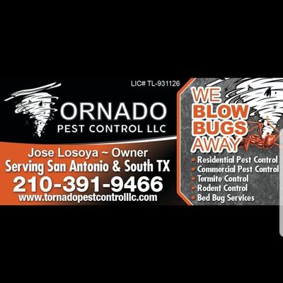 The 10 Best Exterminators In San Antonio Tx With Free Estimates