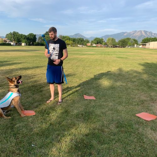 EVERYTHING about what K9 Fluent Dog Training does 