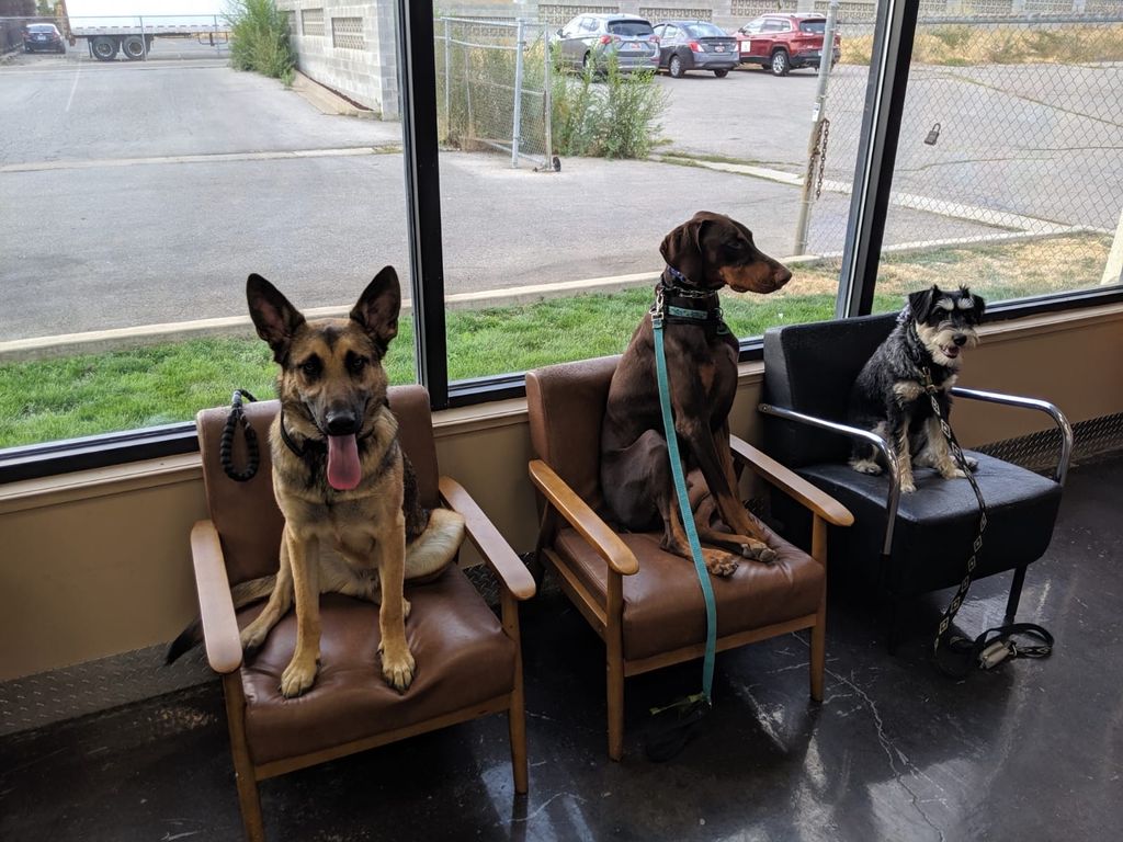 Customer photos