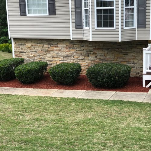 I hired Loudermilk Landscaping to cleanup and remo