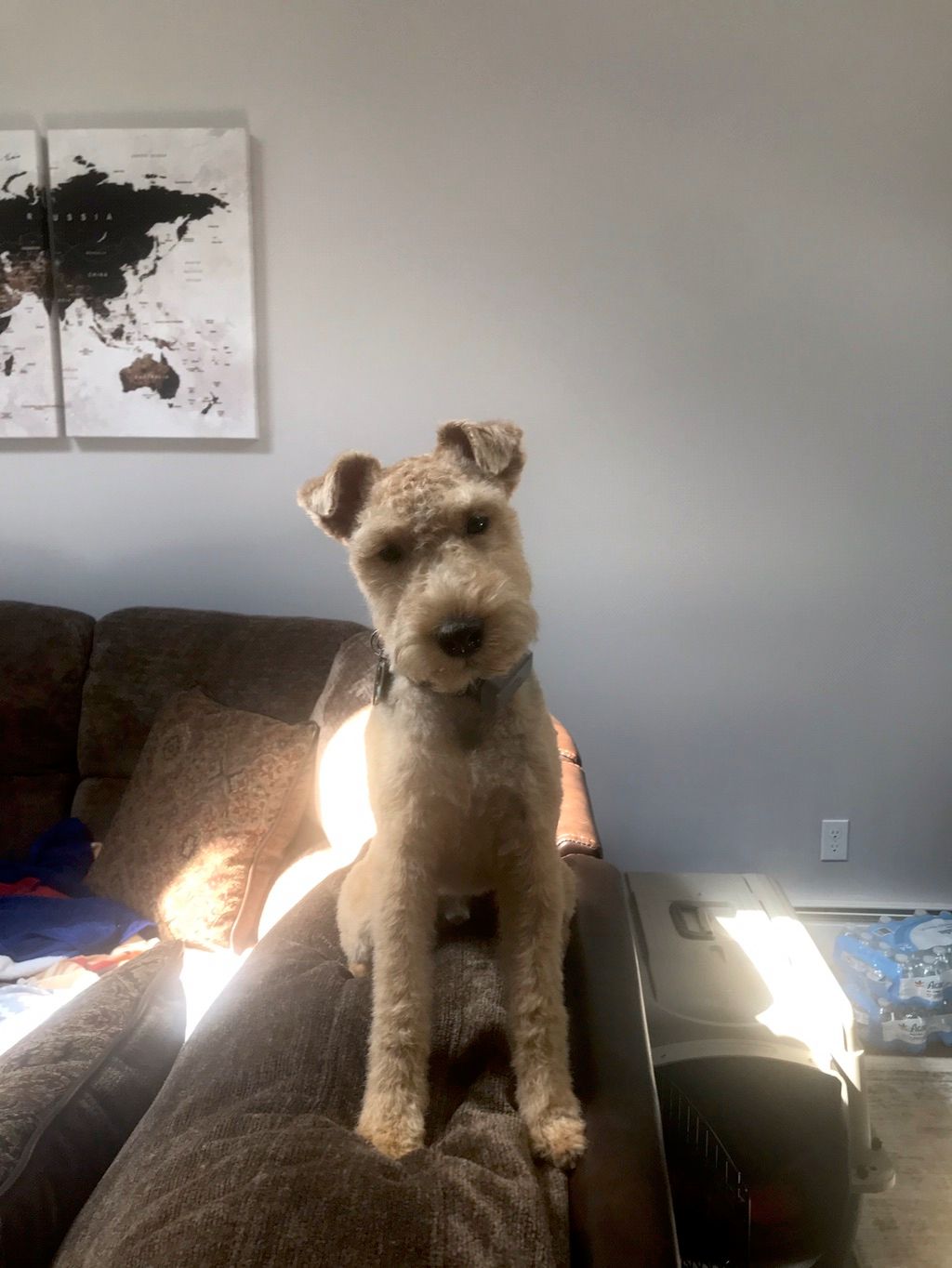 Customer photos
