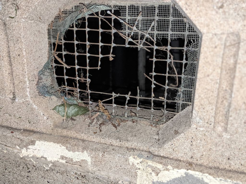 rodent entry that needs to be sealed up.