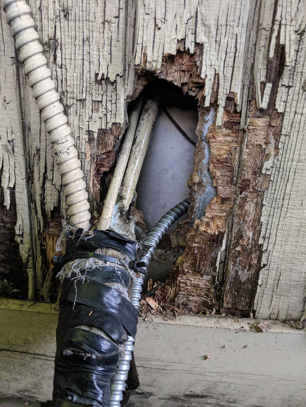 rodent entry that need to be sealed up.