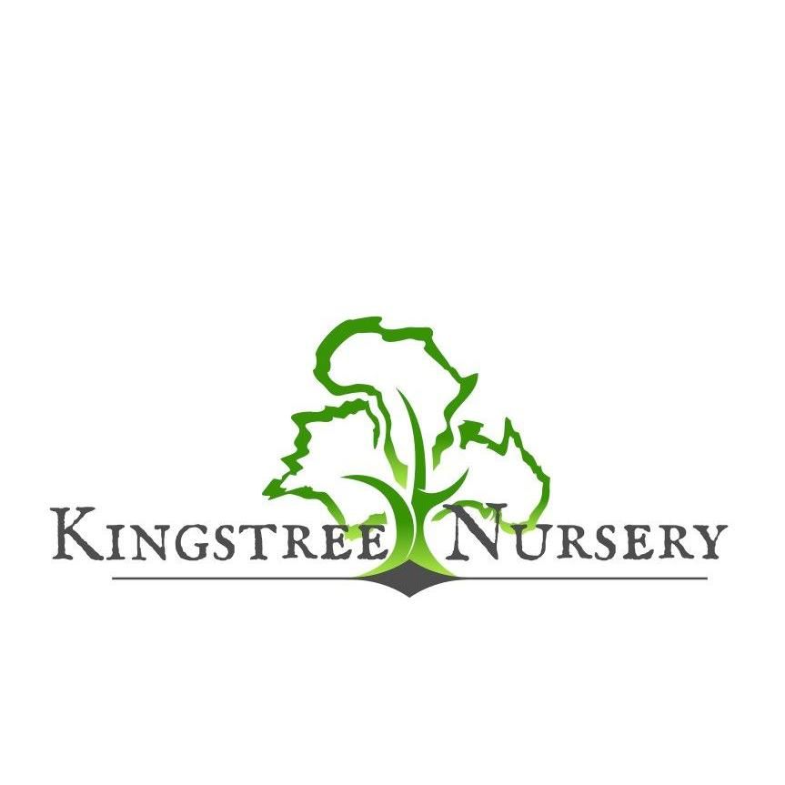Kingstree Nursery