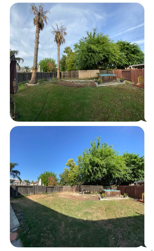 Customer photos