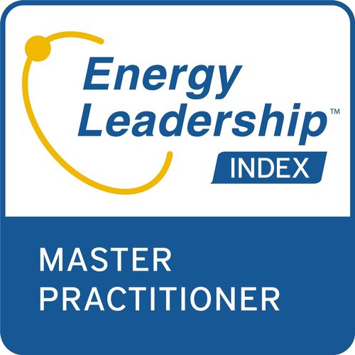 Energy Leadership Assessment MP
