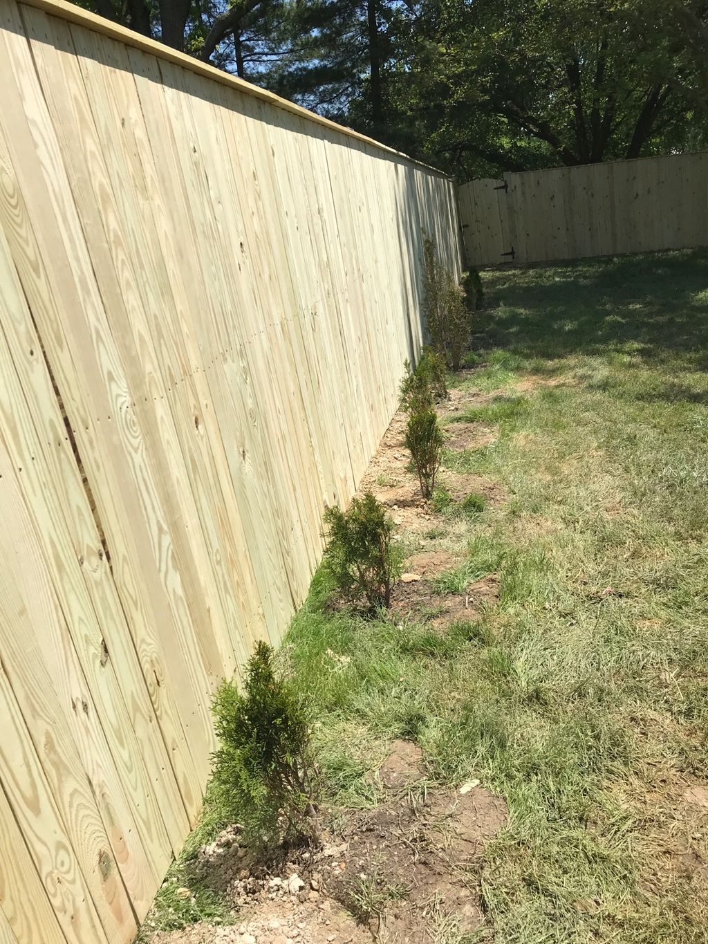 Customer photos