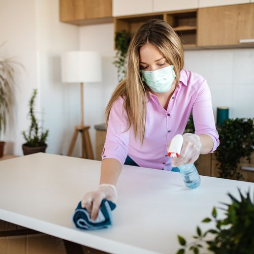 Sanitizing your home