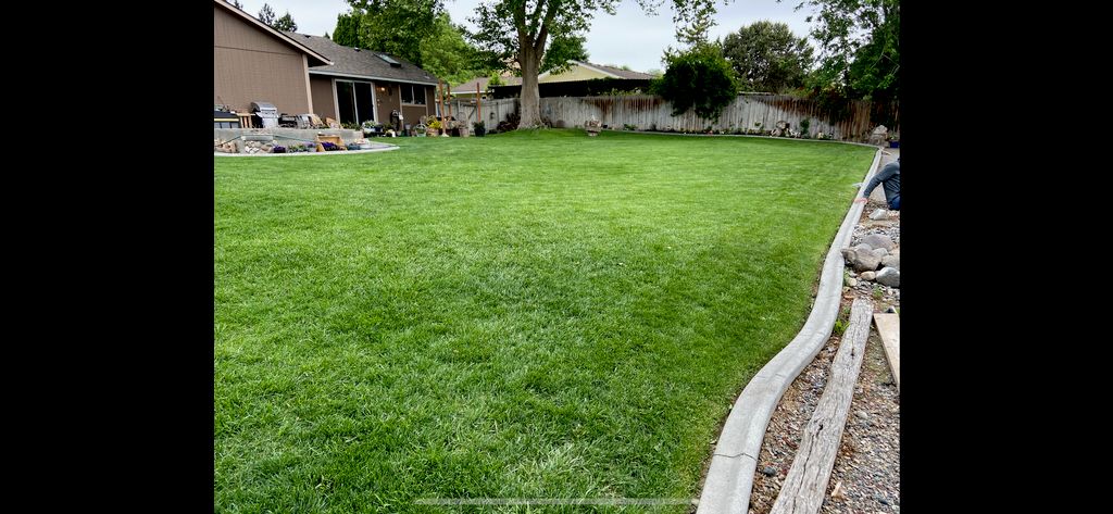 This yard is on our annual lawn maintenance plan.