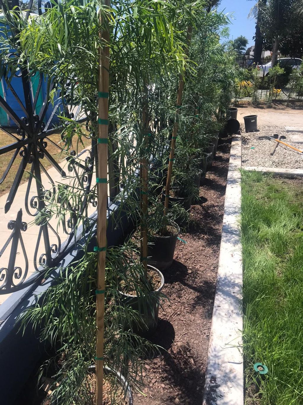 Customer photos
