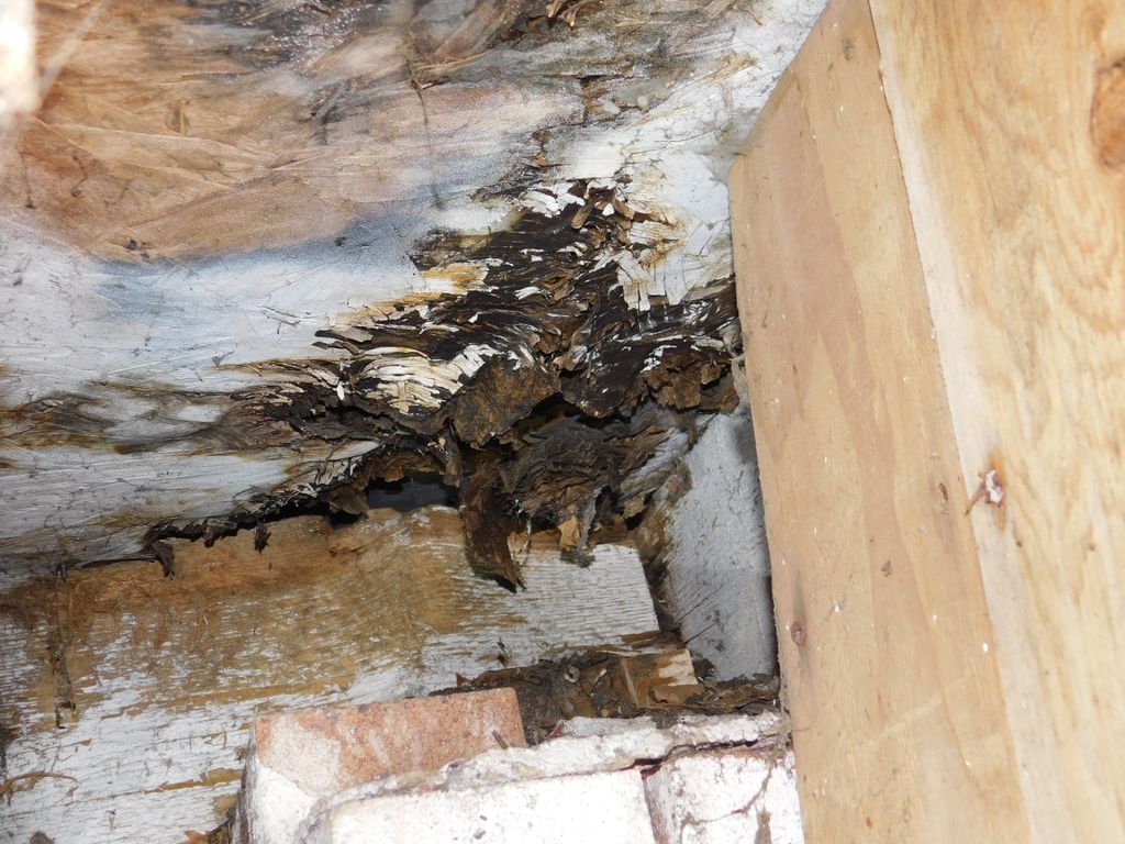 Water damage